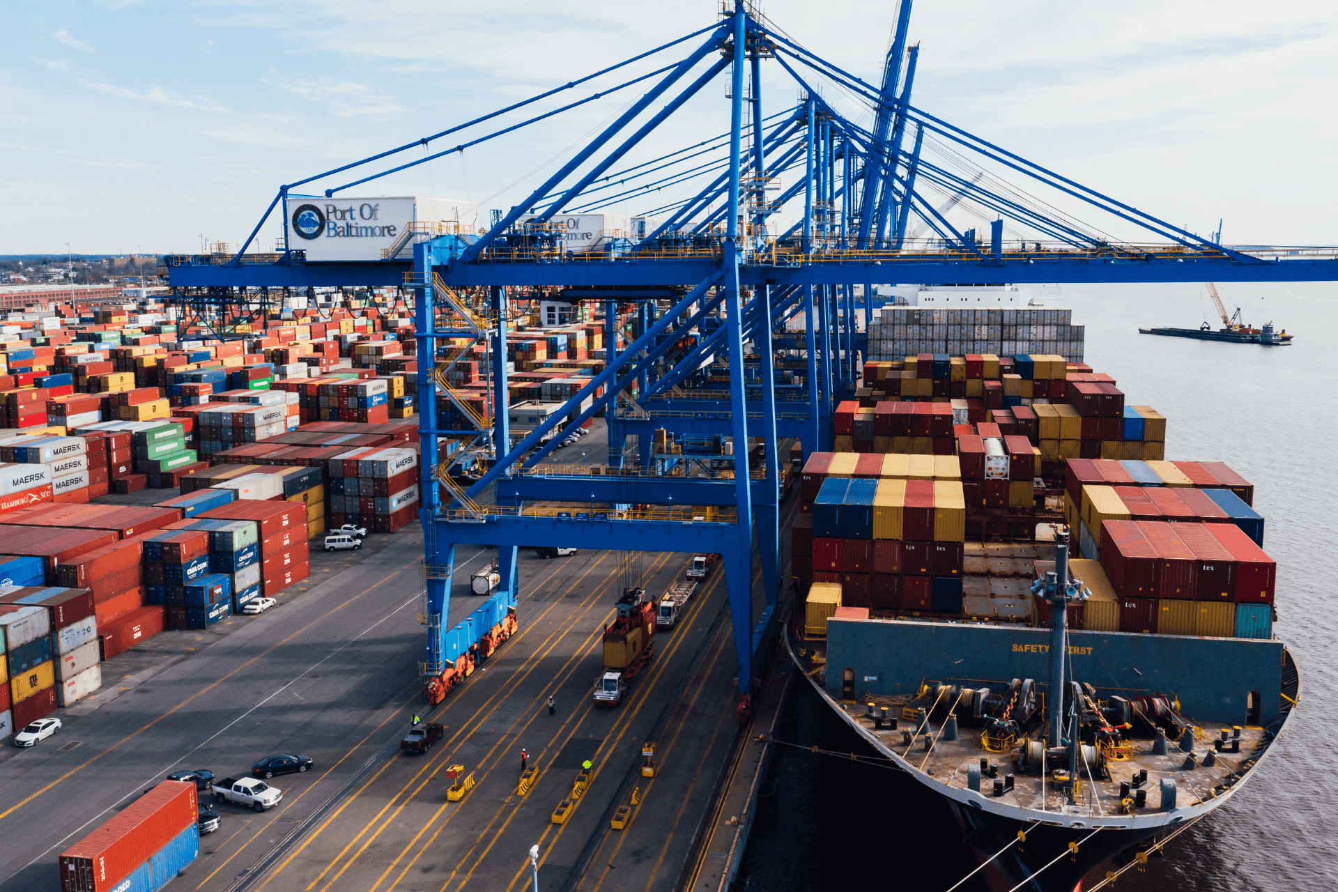 Procurement & Supply Chain Management